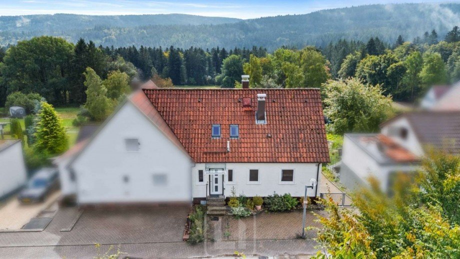 Frontansicht Doppelhaush�lfte Dobel