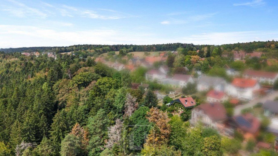 Natur in direkter Umgebung Einfamilienhaus Bad Liebenzell