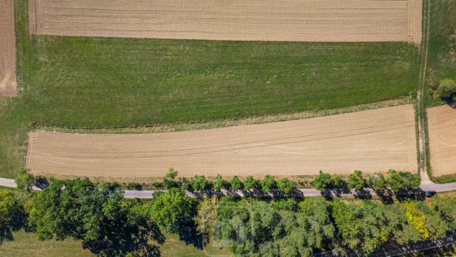Blick auf die Nutzfl�che Land- / Forstwirtschaft - Grdst. Calw