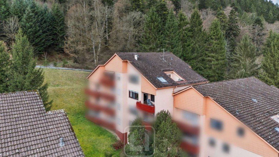 Drohnenaufnahme Etagenwohnung Unterreichenbach