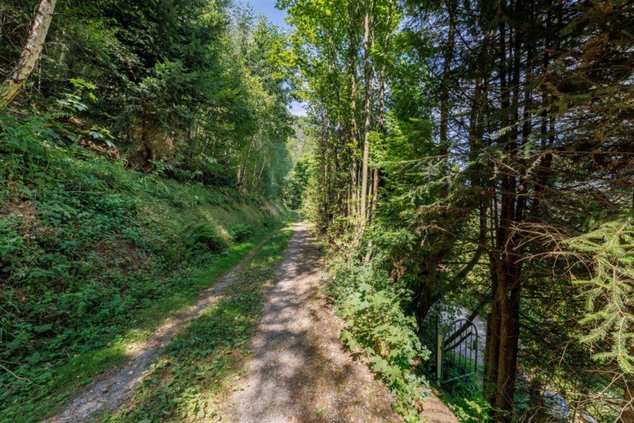 ...direkt in den Wald Einfamilienhaus Calw
