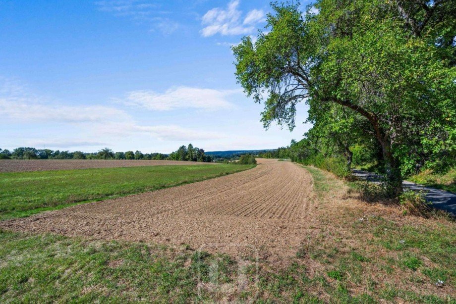 Landwirtschaftliche Nutzfl�che Land- / Forstwirtschaft - Grdst. Calw